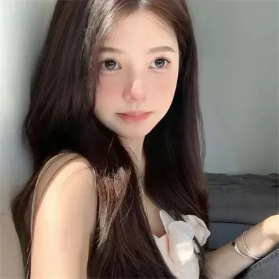 一条狗的使命